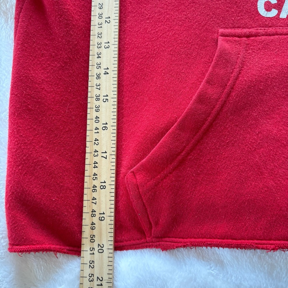 Popularity Products Official Lifeguard San Diego Hoodie Sweatshirt Unisex L Crop - Picture 10 of 12